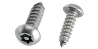 2 Sicherheitsschrauben - Torx-20